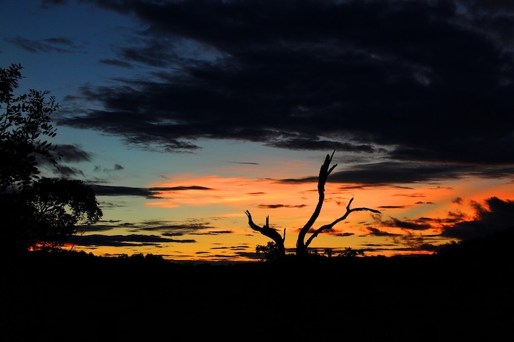 Mato Grosso do Sul - Retomada