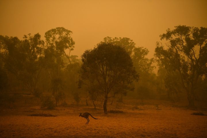 Austrália - investimento no turismo_incêndios