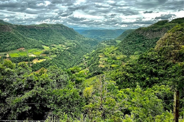 serra gaúcha - enogastronomia - capa