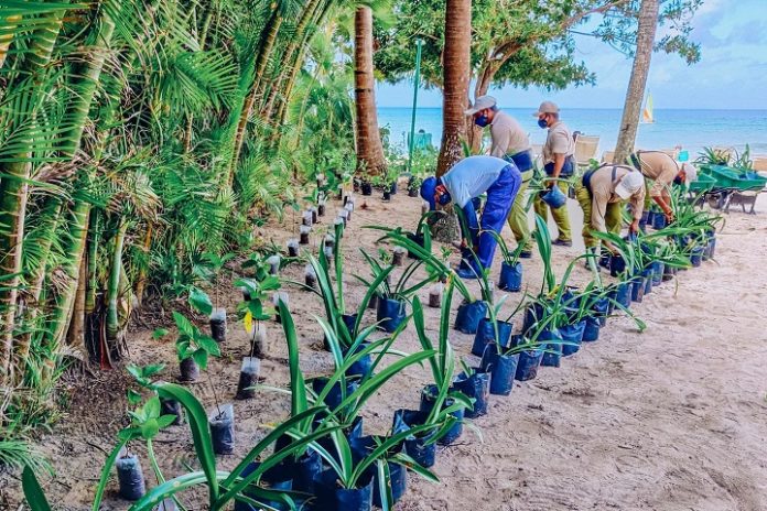 Iberostar - sustentabilidade