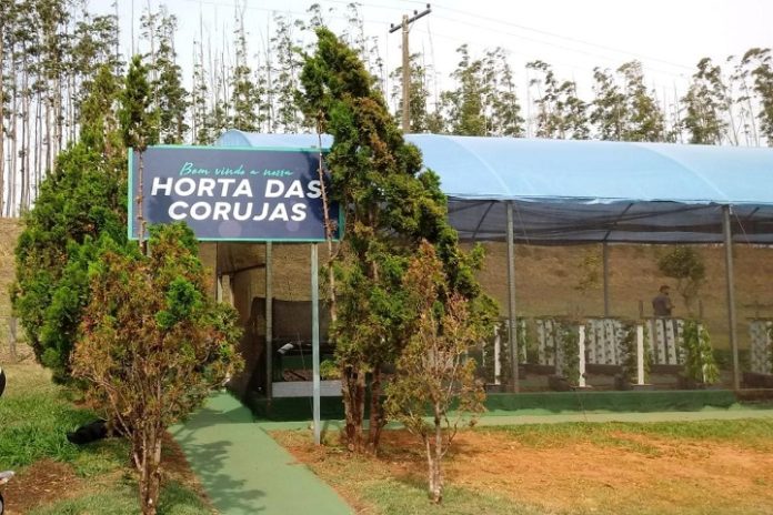 Blue Tree Thermas Lins - Horta_das_corujas