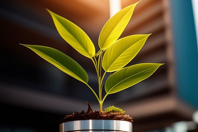 Redes Hoteleiras - Sustentabilidade