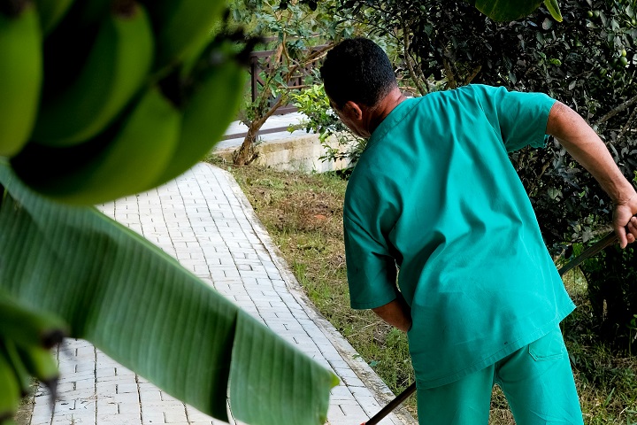 Silas Grecco - Interna