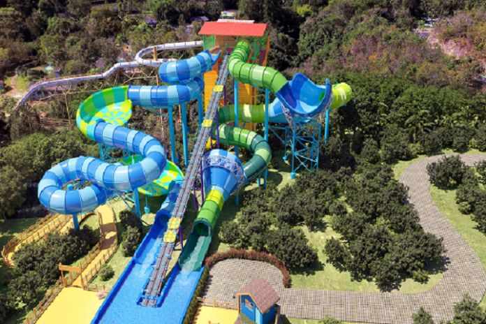 parques - estudo noctua